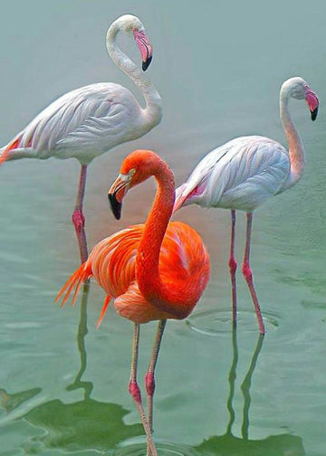Flamingo Trio - 5D Diamond Painting Kit
