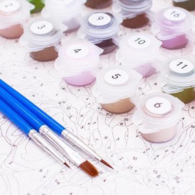 Paint by numbers kit