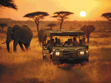 African Safari Adventure artwork shown as a completed diamond painting preview