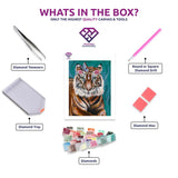 Binjai diamond painting kit contents shown together