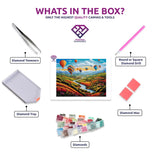 Hot Air Balloons diamond painting canvas with tweezers, applicator pen, tray, wax and coloured drills
