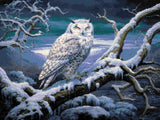 Moonlit Owl artwork shown as a completed diamond painting preview