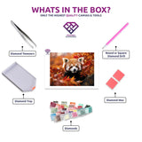 Panda Solitude diamond painting kit contents shown together