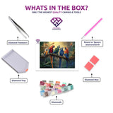 Rainbow Birds diamond painting kit contents shown together