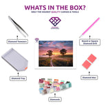 Rolling Meadows diamond painting canvas with tweezers, applicator pen, tray, wax and coloured drills