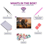 Savannah Guardians diamond painting kit contents shown together