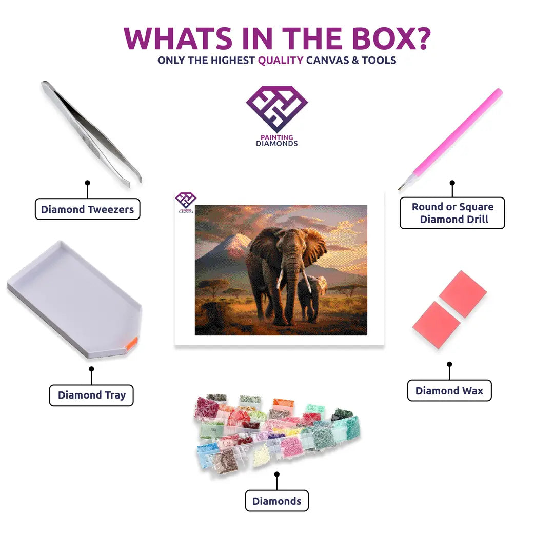 Savannah Guardians diamond painting kit contents shown together