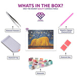 Uluru Starlight diamond painting canvas with tweezers, applicator pen, tray, wax and coloured drills