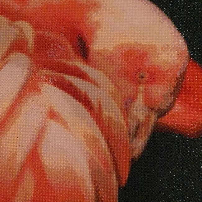 Dance the Flamingo - Hard to Do - 5D Diamond Painting Kit