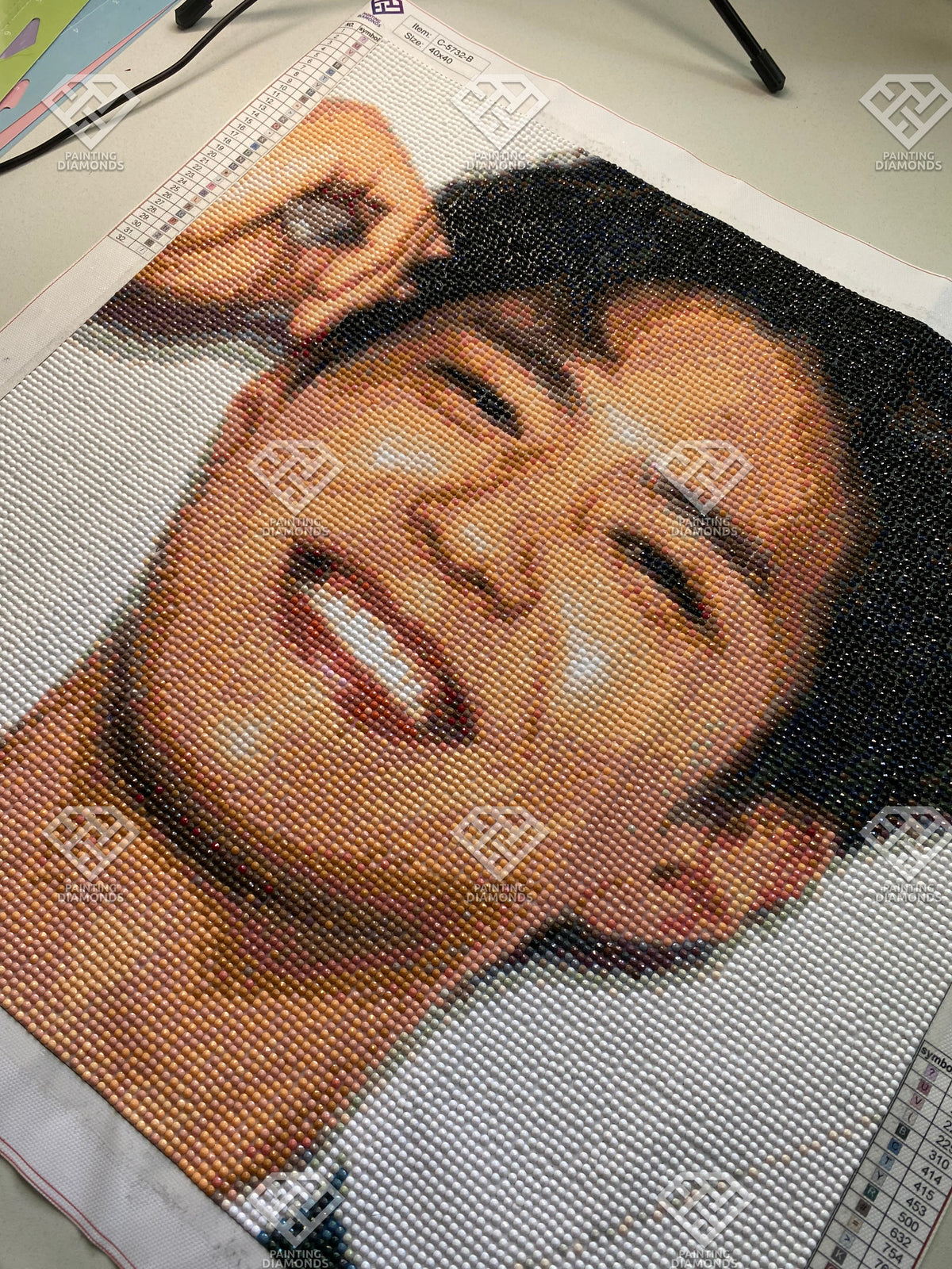 Customer submission of custom diamond paintings made by Painting Diamonds