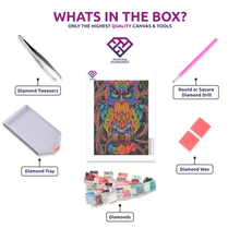 Colourful Owl - 5D Diamond Painting kit