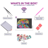 Colourful Eagle diamond painting kit contents shown together