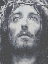 Crown of Thorns artwork shown as a completed diamond painting preview