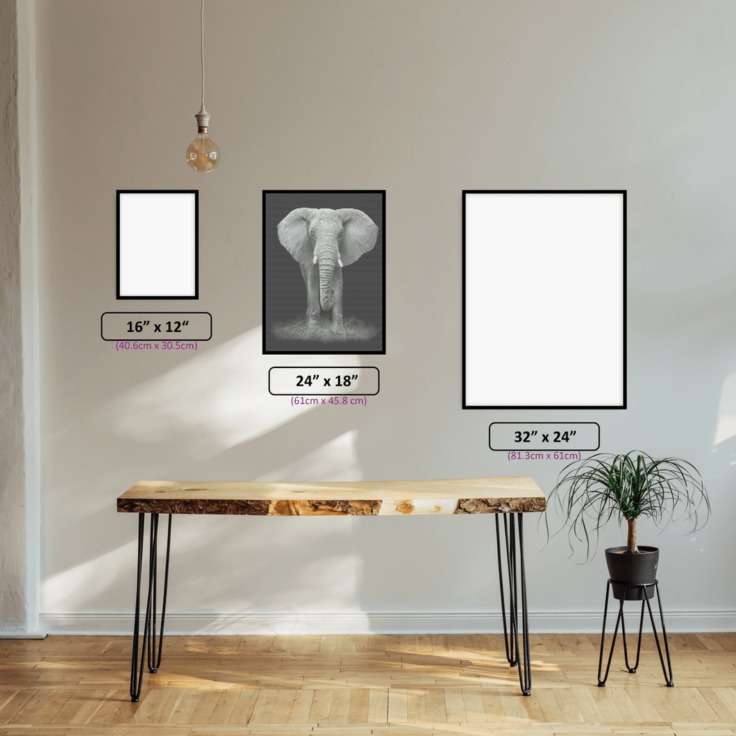 Black & White Elephant - 5D Diamond Painting Kit