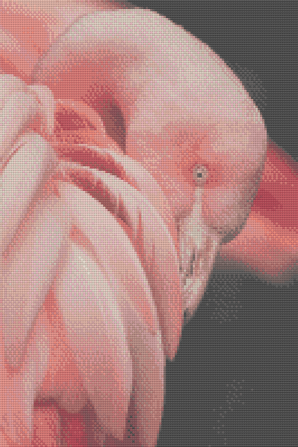 Dance the Flamingo - 5D Diamond Painting Kit