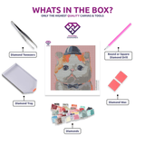 Gentleman Kitty diamond painting kit contents shown together