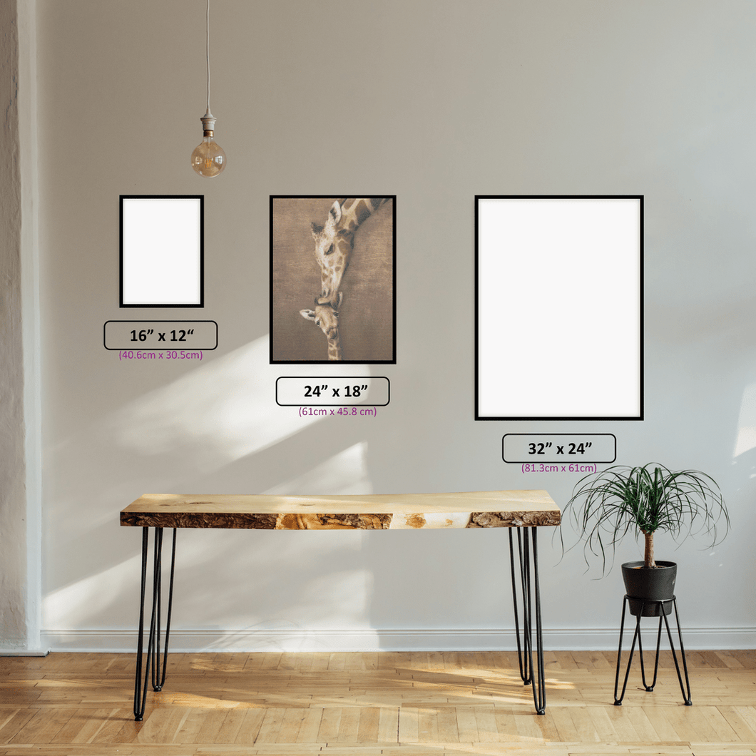 Love of the Giraffe - 5D Diamond Painting Kit