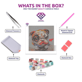Happy Bulldog diamond painting kit contents shown together