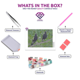 Koala Family diamond painting kit contents shown together