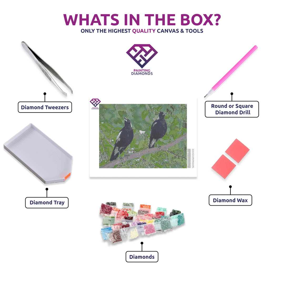 Koala Family diamond painting kit contents shown together