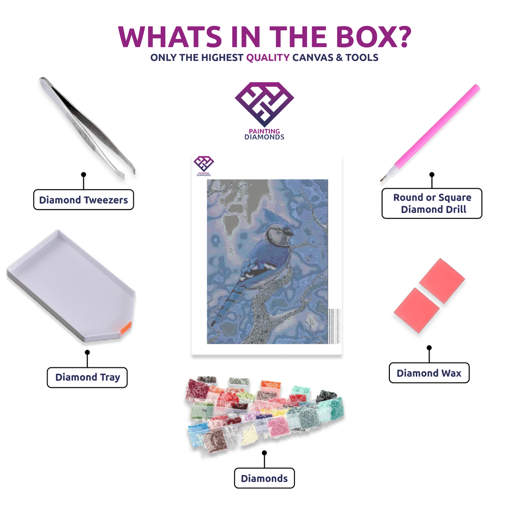 Snow-Kissed Blue Jay diamond painting kit contents shown together
