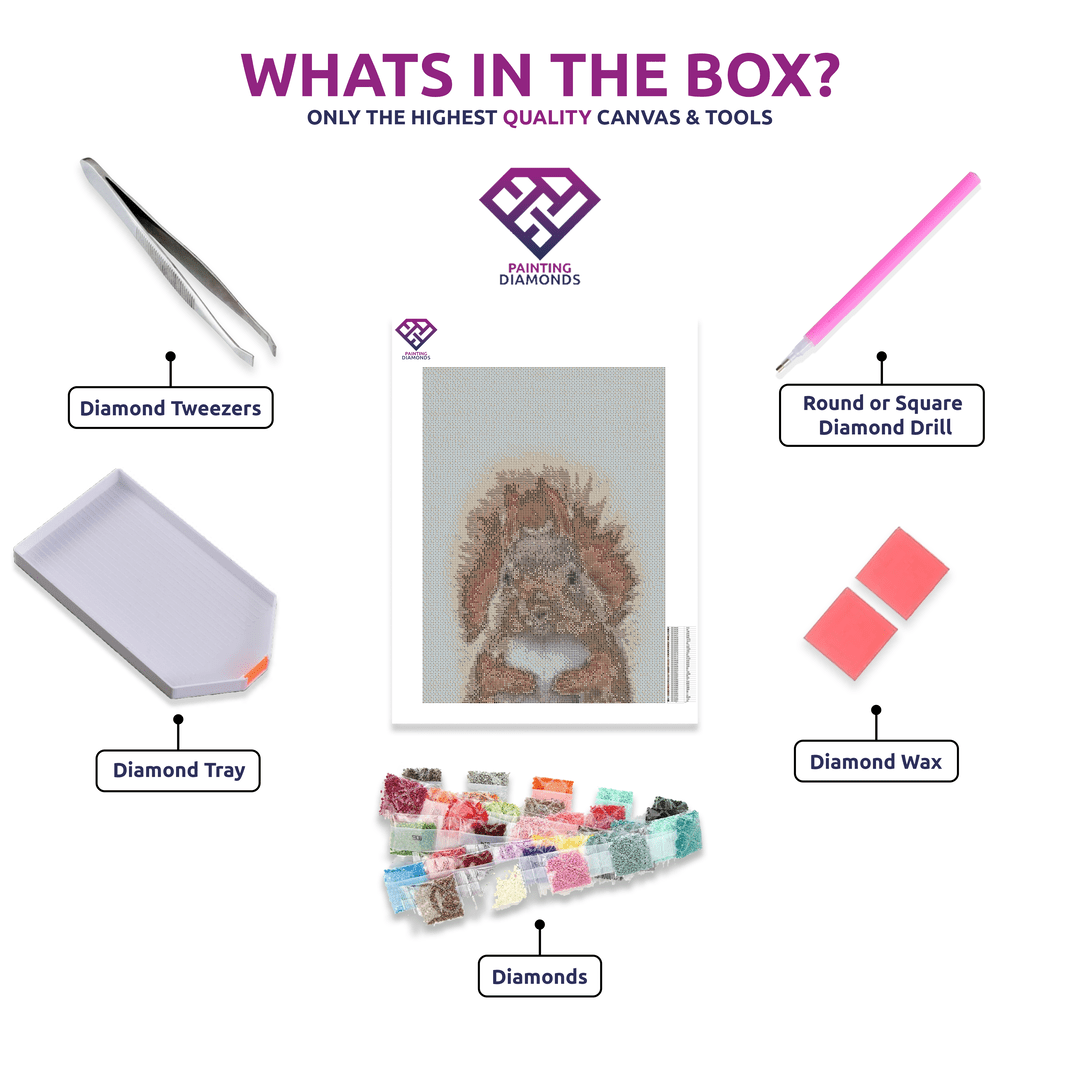Squirrel diamond painting kit contents shown together