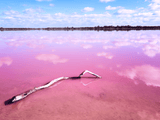 Vivid pink lake in Western Australia with a submerged pale branch beneath a cloud-filled blue sky