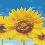 Vibrant Sunflower artwork shown as a completed diamond painting preview
